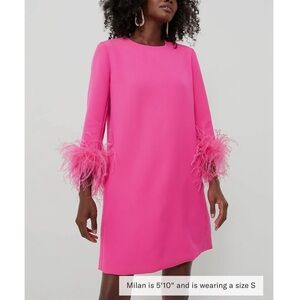 Tuckernuck Pink Feather Cuff Dress